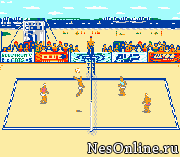 Kings of the Beach – Professional Beach Volleyball